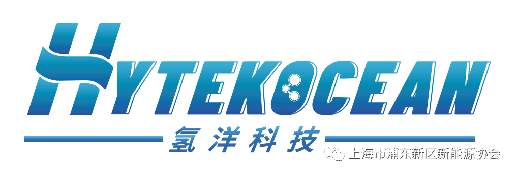 上海氢洋科技有限公司